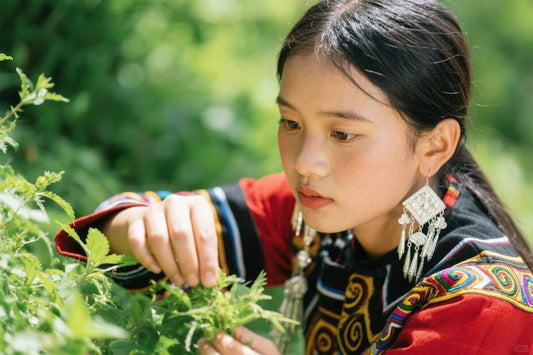 Miao Medicine: A Timeless Tradition of Natural Healing