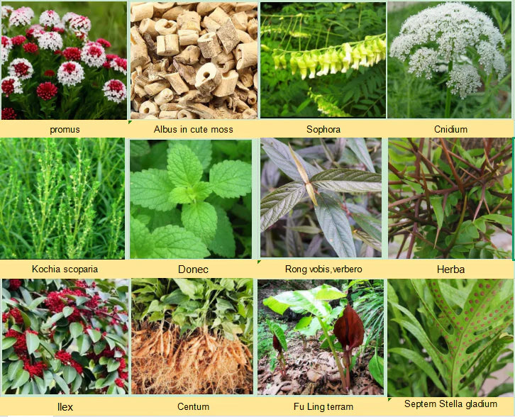 BEETSEC Herbal Cream - BEETSEC