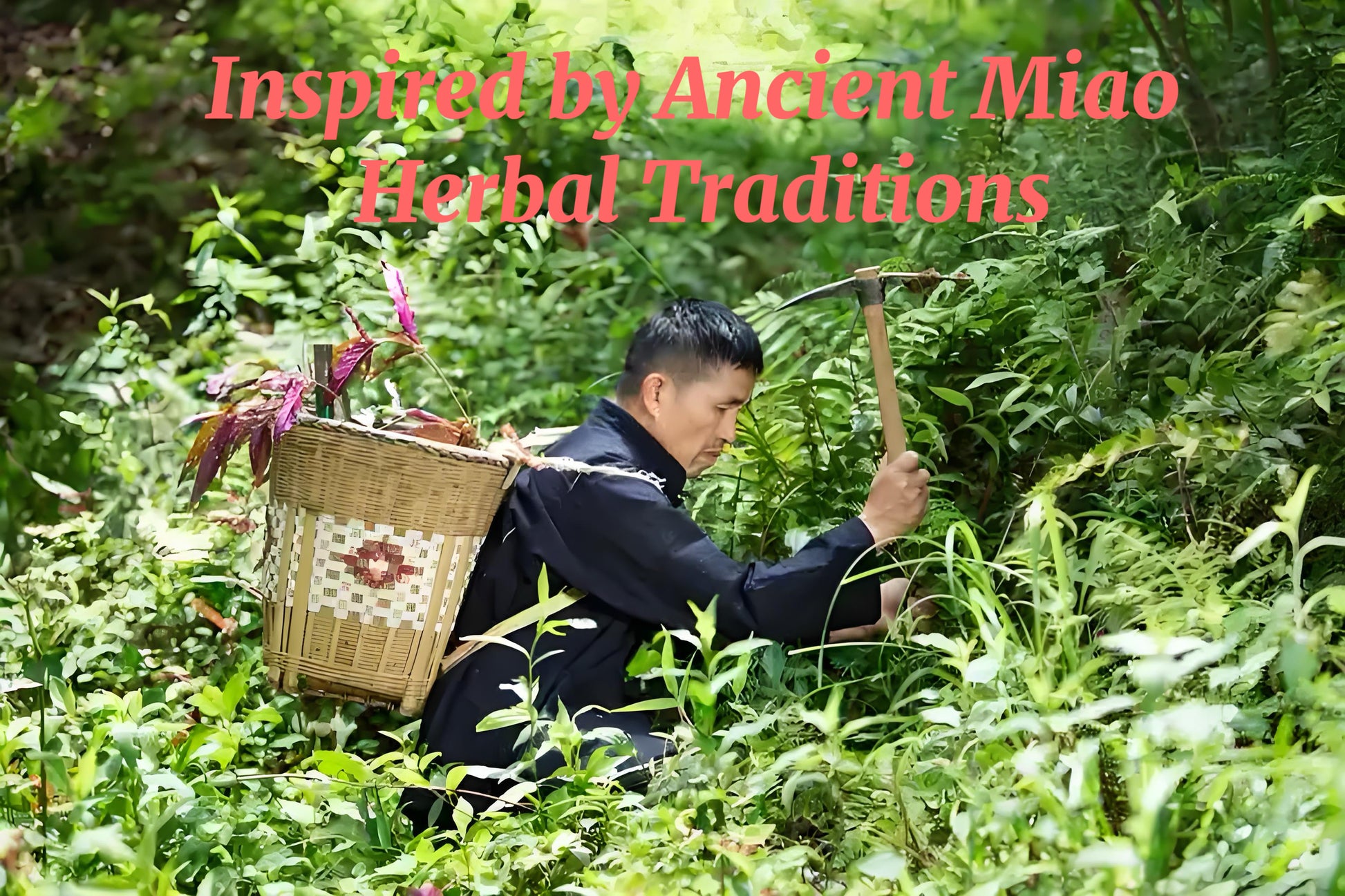 BEETSEC Herbal Cream - BEETSEC