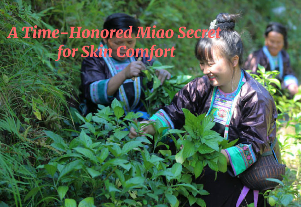 BEETSEC Herbal Cream - BEETSEC